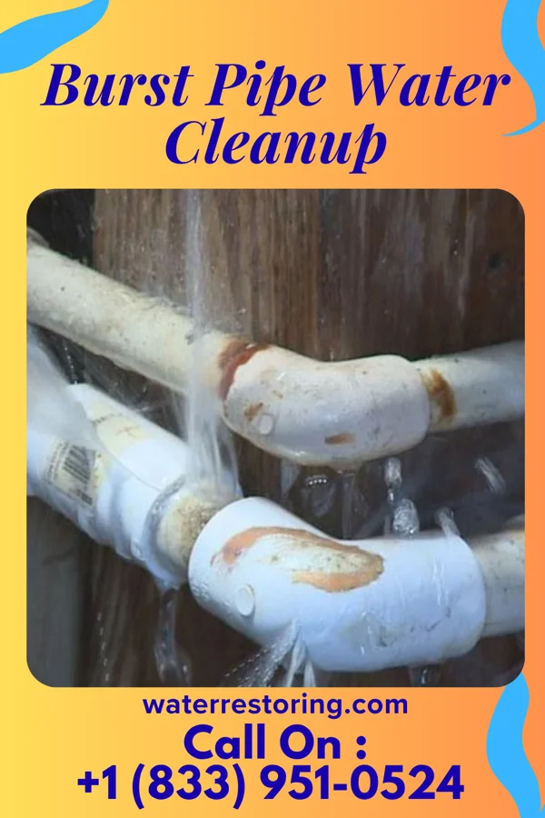 Burst Pipe Water Cleanup in Amsterdam, NY