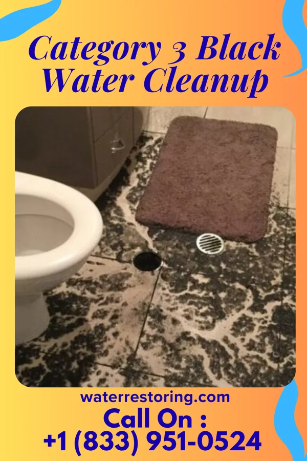 Category 3 Black Water Cleanup in Amsterdam, NY