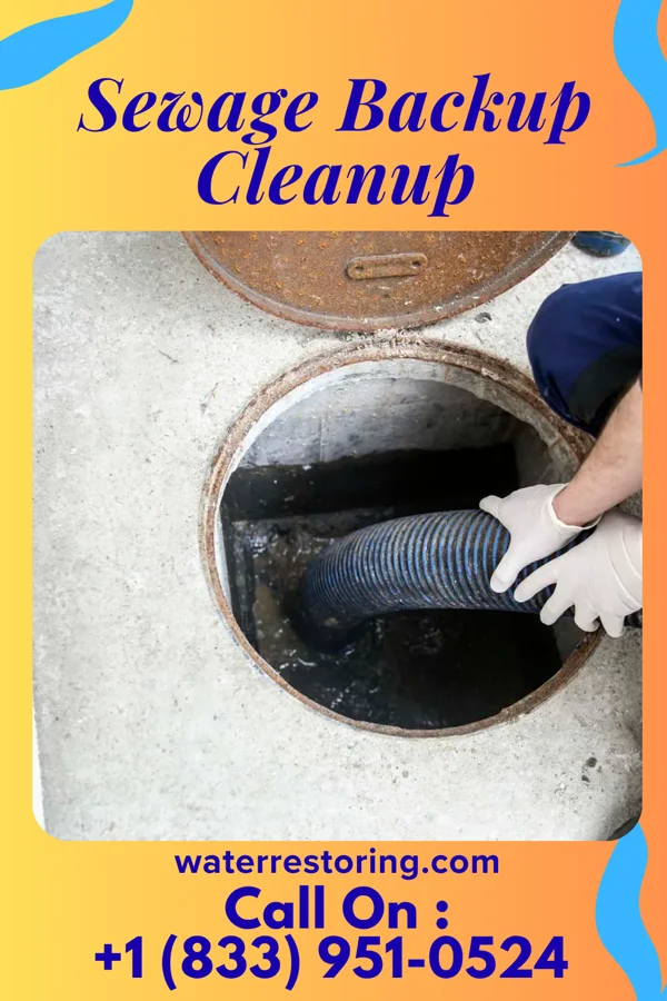 Sewage Backup Cleanup in Amsterdam, NY