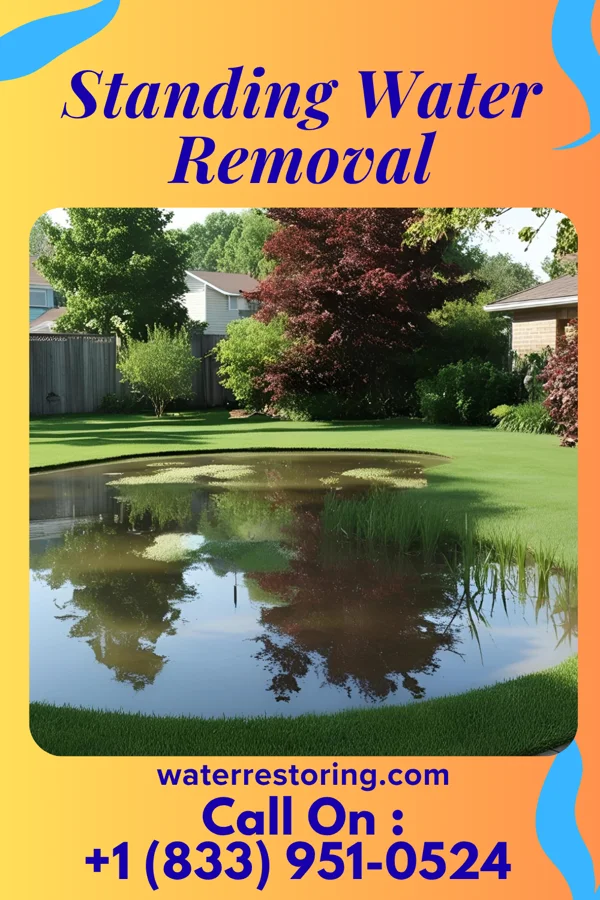 Standing Water Removal in Amsterdam, NY